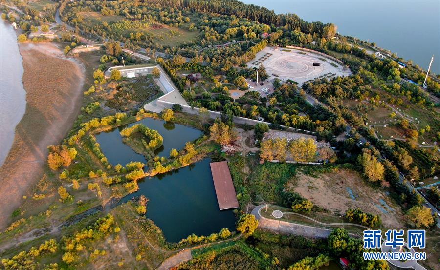 （新華全媒頭條&middot;圖文互動）（14）從&ldquo;四亂&rdquo;突出到生態修復 黃河漸成中原&ldquo;綠飄帶&rdquo;