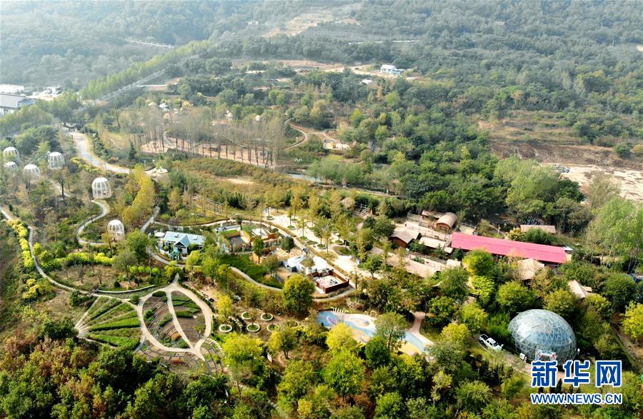 (全面建成小康社會“百城千縣萬村調(diào)研行”·圖文互動)(2)青島西海岸新區(qū)以“生態(tài)酵母”激活鄉(xiāng)村振興