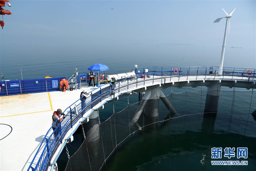 (新華全媒頭條·圖文互動)(5)“拔”海起牧場 “耕”海新牧歌
