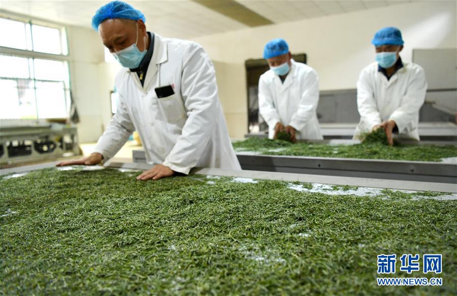 (新華全媒頭條·圖文互動)(22)從人民中汲取磅礴力量——習(xí)近平總書記同出席2020年全國兩會人大代表、政協(xié)委員共商國是紀實