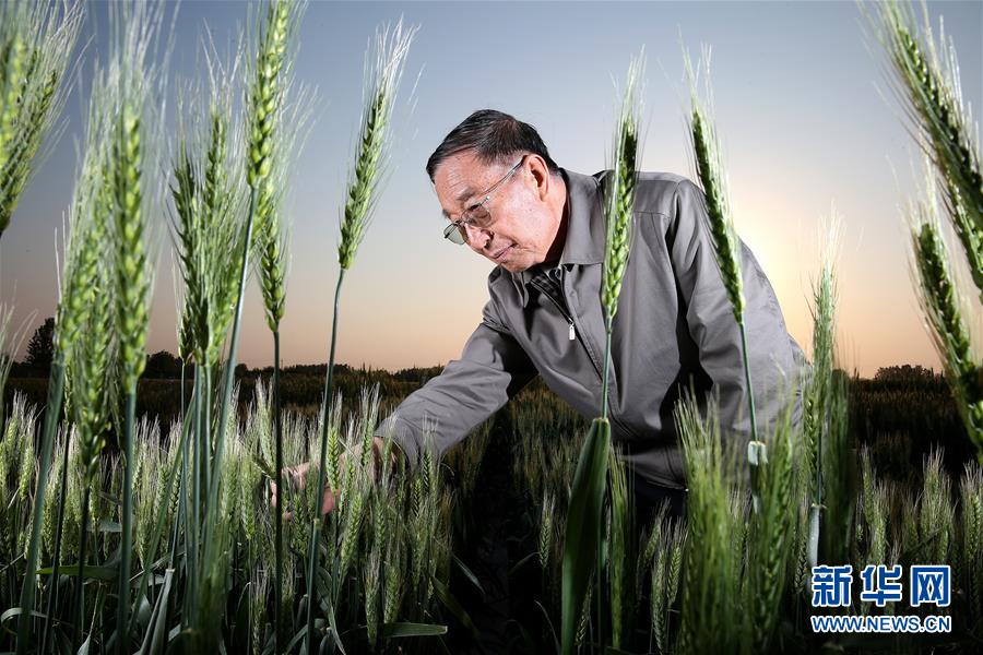 （&ldquo;中國面貌&rdquo;系列述評&middot;圖文互動）（4）創新中國&mdash;&mdash;70年中國面貌變遷述評之二