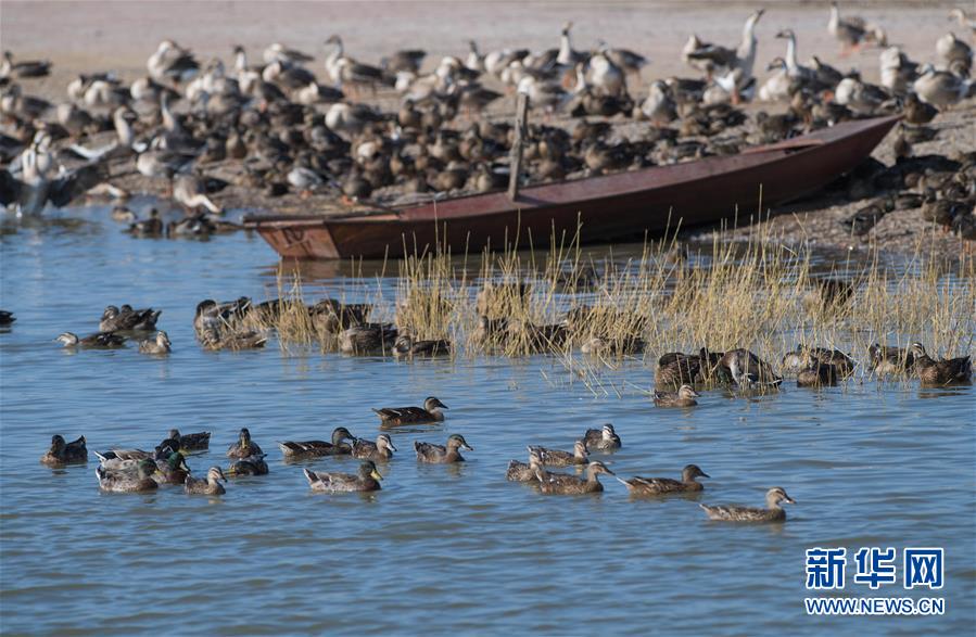 （新華全媒頭條&middot;圖文互動）（10）奮力書寫東北振興的時代新篇&mdash;&mdash;習近平總書記調研東北三省并主持召開深入推進東北振興座談會紀實