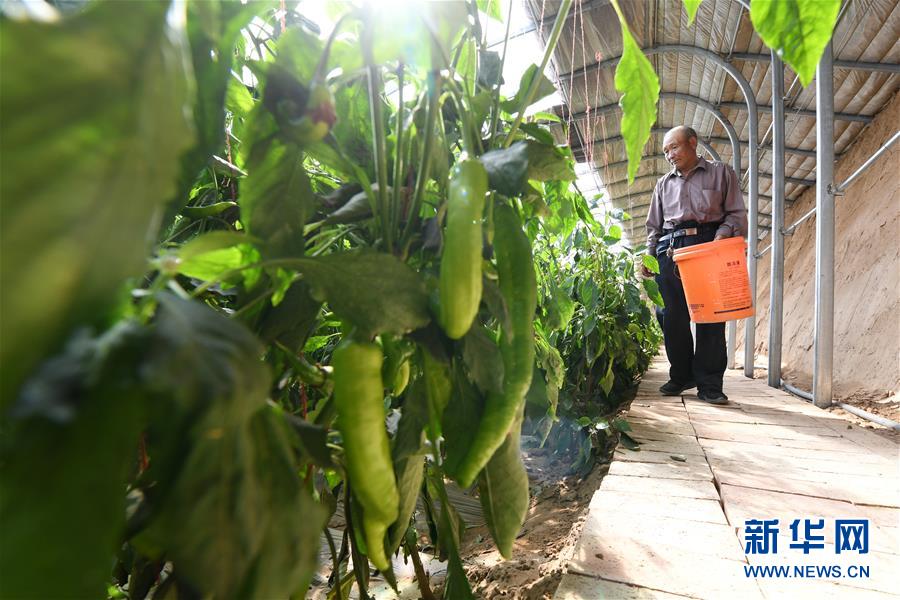 （新華全媒頭條&middot;圖文互動）（15）春天里的5個&ldquo;戰(zhàn)貧&rdquo;瞬間&mdash;&mdash;習(xí)近平總書記關(guān)于脫貧攻堅決策部署指引攻克最后的深貧堡壘