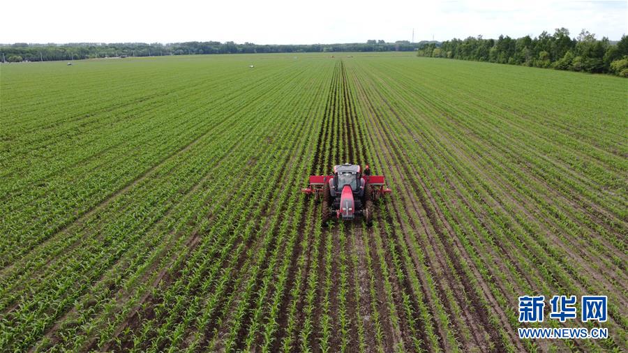 （在習近平新時代中國特色社會主義思想指引下&mdash;&mdash;新時代新作為新篇章&middot;習近平總書記關切事&middot;圖文互動）（5）讓每一寸耕地都成為豐收的沃土&mdash;&mdash;我國加強耕地保護推進&ldquo;藏糧于地&rdquo;