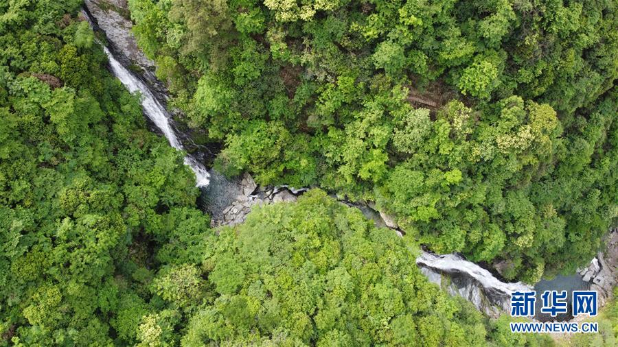 (在習近平新時代中國特色社會主義思想指引下——新時代新作為新篇章·習近平總書記關切事·圖文互動)(6)長三角的新答卷——“十三五”收官之年的長三角一體化新故事