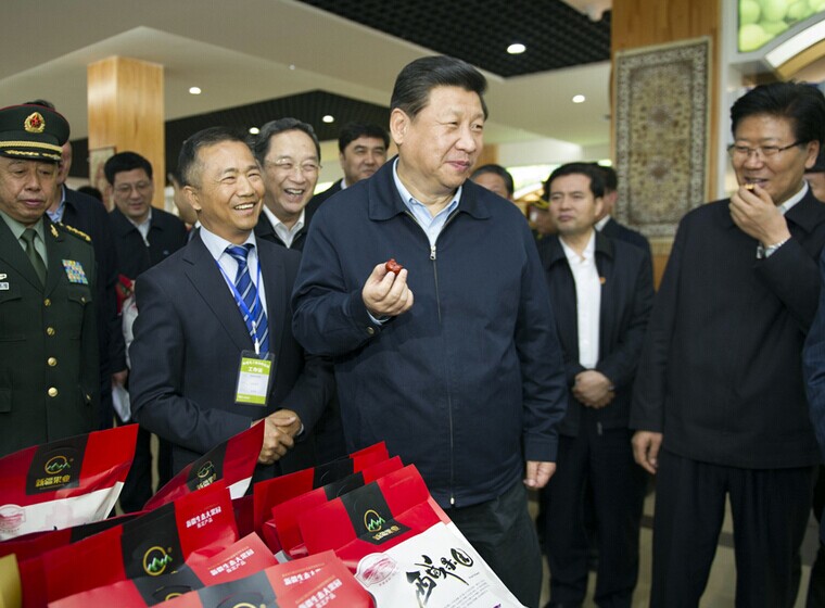 習(xí)近平:不辭長作新疆人