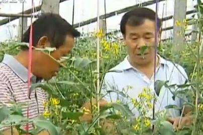 李雙星:扶貧致富圓夢人
