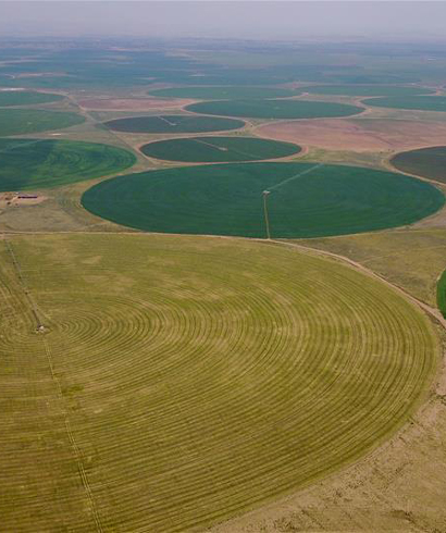 科爾沁沙地上飄動(dòng)著&ldquo;綠海&rdquo;