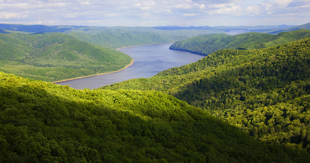 張建龍：&ldquo;三北工程&rdquo;實現(xiàn)生態(tài)、經(jīng)濟、社會效益&ldquo;多贏&rdquo;