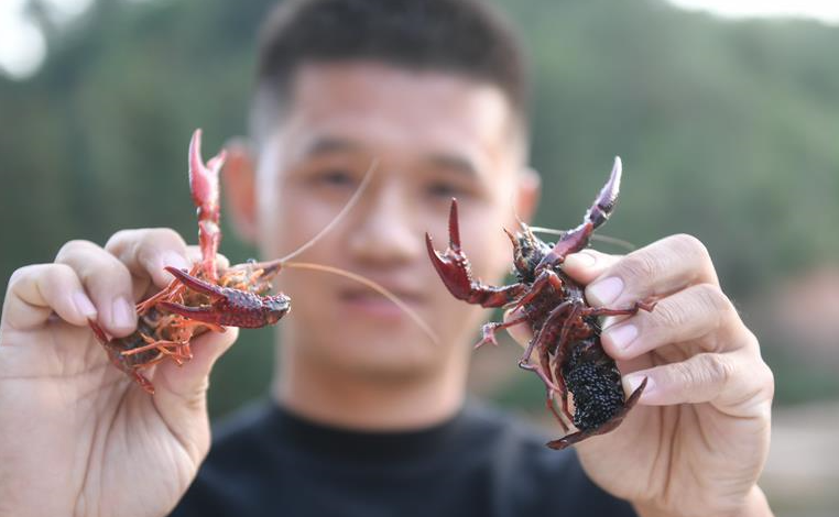 吹盡狂沙始到金&mdash;&mdash;綠色發展之&ldquo;金&rdquo;的故事