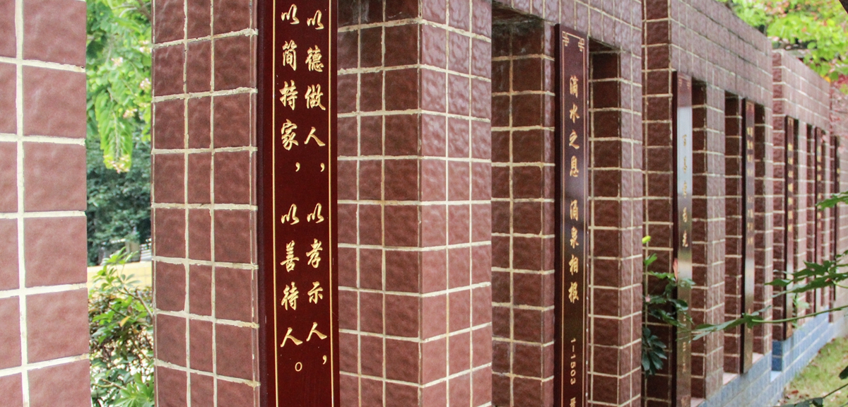 幸福感就藏在細節里&mdash;&mdash;四川綿陽韓家脊社區的美好生活探索