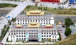 青海玉樹：傳統藏醫(yī)藥融合現代診療技術煥發(fā)新活力