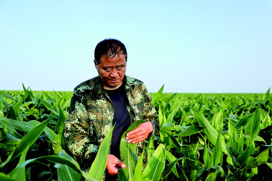 比農民更像農民的&ldquo;廳級村官&rdquo;