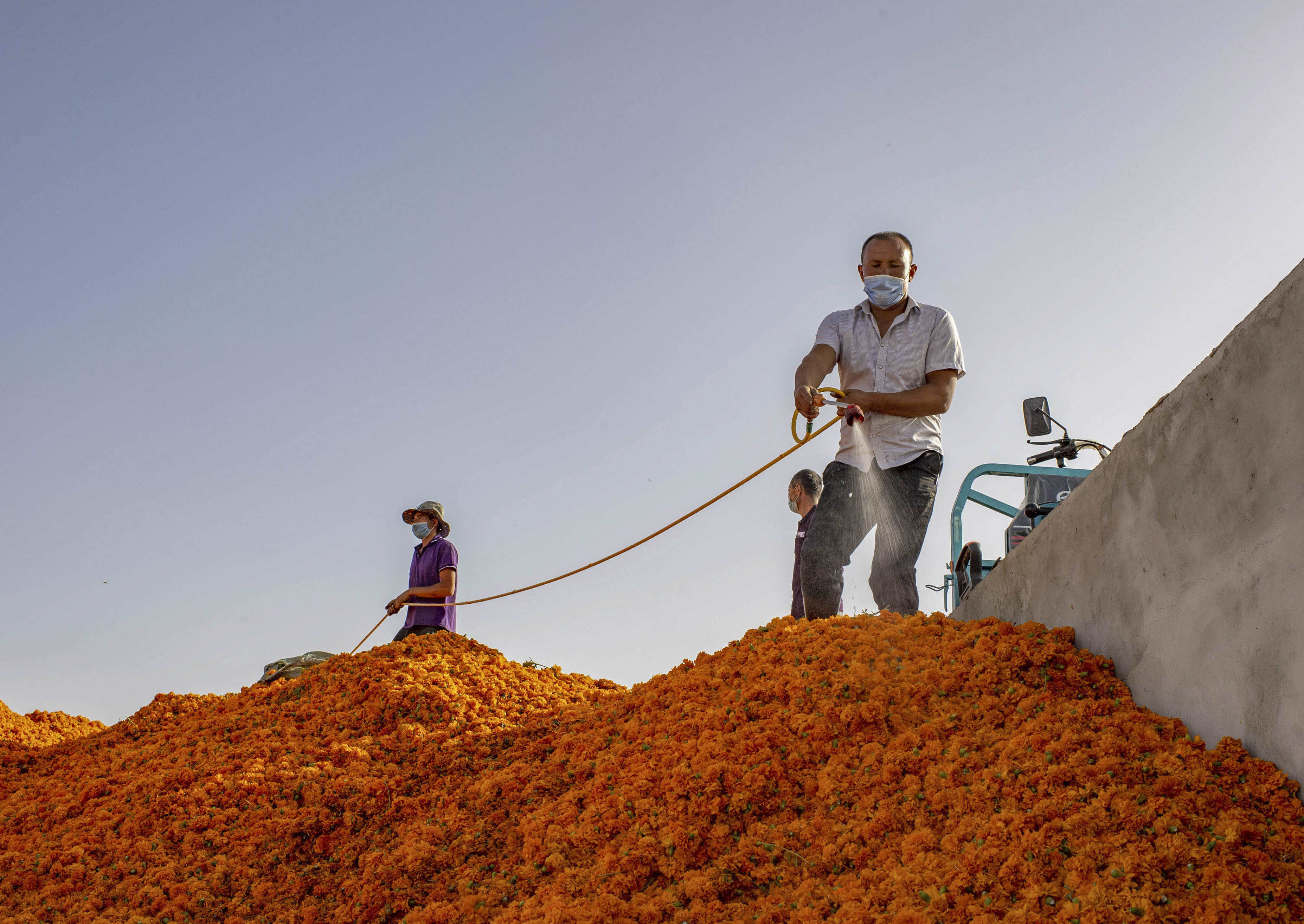 脫貧靠雙手&mdash;&mdash;新疆和田地區未摘帽縣就業見聞
