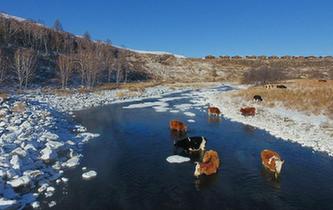嚴寒中的&ldquo;不凍河&rdquo;