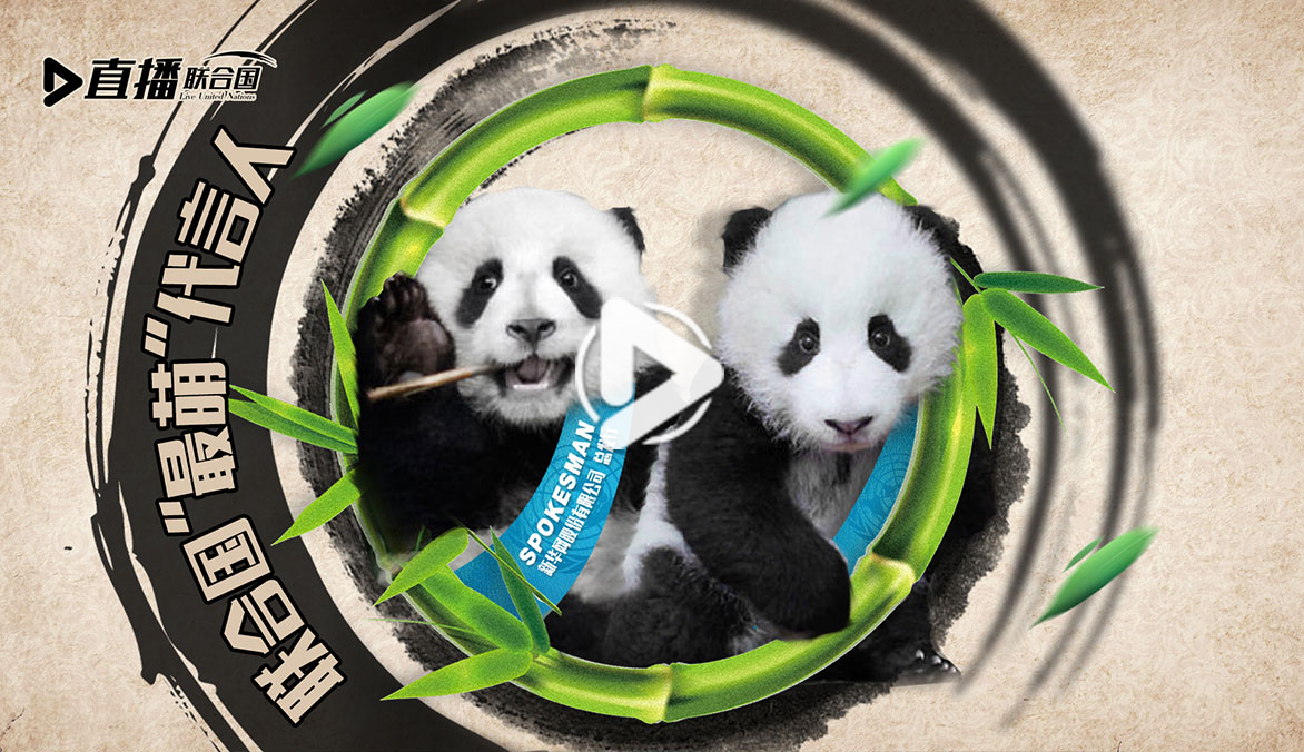 《直播聯合國》第三十五集：聯合國&ldquo;最萌&rdquo;代言人