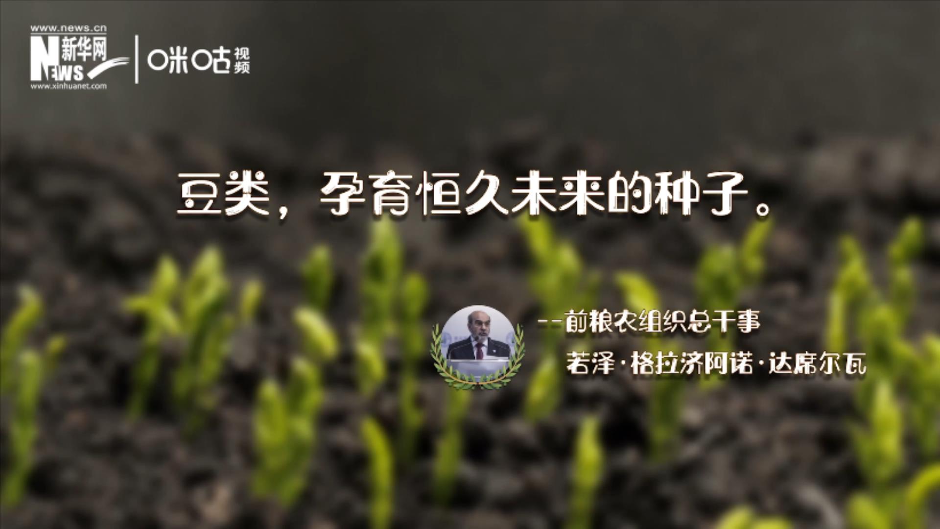 第二十一集:小豆子的超能力