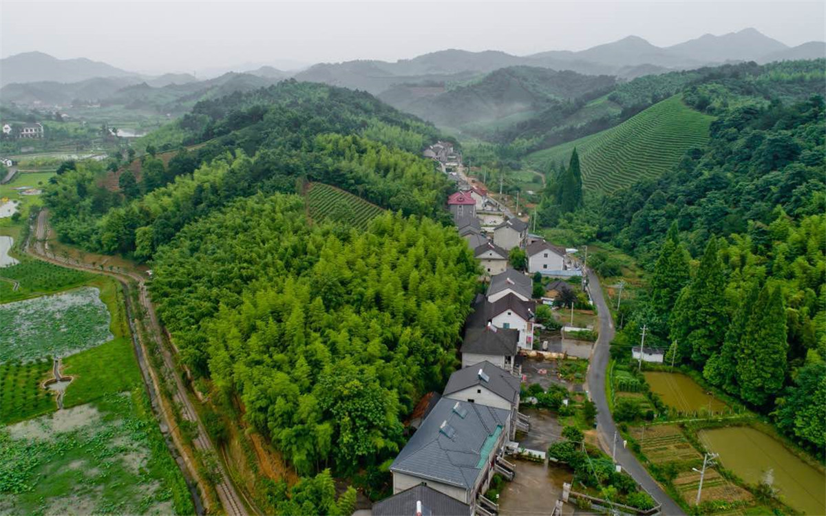 從2003年起，浙江省開展了&ldquo;千村示范、萬村整治&rdquo;工程