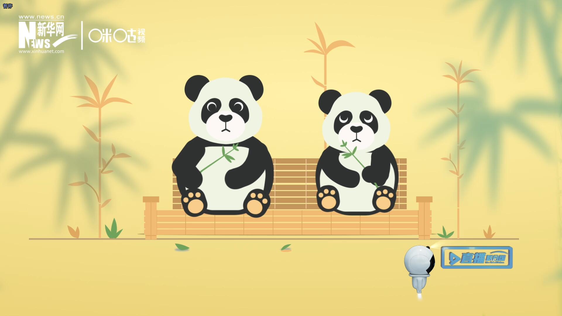 &ldquo;哥哥你看，又有人來看我們了。&rdquo;&ldquo;有什么奇怪的，我們可是聯合國&lsquo;最萌&rsquo;的大使??！&rdquo;。