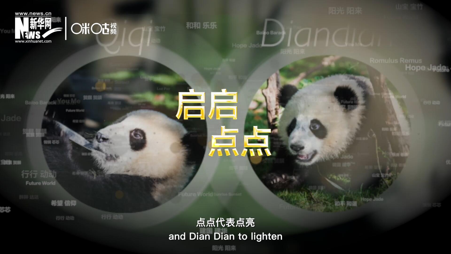 啟啟代表&ldquo;啟發&rdquo;，點點代表&ldquo;點亮&rdquo;，象征著2030年可持續發展議程 的&ldquo;起點&rdquo;，也象征著全球可持續發展路徑的新起點。