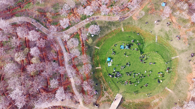 生態中國&middot;空中長卷