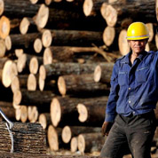 林業&ldquo;國字號&rdquo;改革