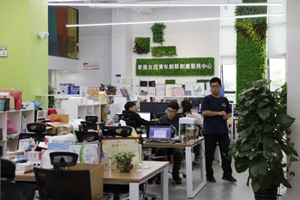 臺青追夢珠三角:&ldquo;這里創業成功機會大&rdquo;