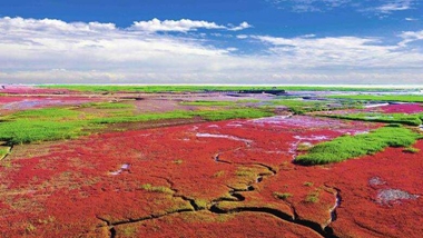 生態(tài)中國&middot;天遼地寧紅灘舞