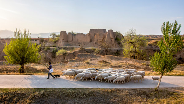 追夢足跡｜上馬圈：鐵馬冰河，黃土斑駁