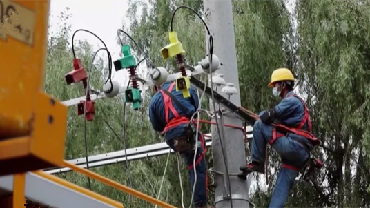 黑龍江李氏三兄弟案：沒&ldquo;好處&rdquo;就不供電 公開招標(biāo)變個(gè)人指定