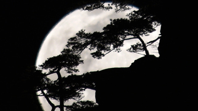 太驚艷！明月奇松 夢幻同框