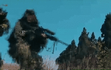 突入，擊斃！直擊武警特戰反劫持演練！