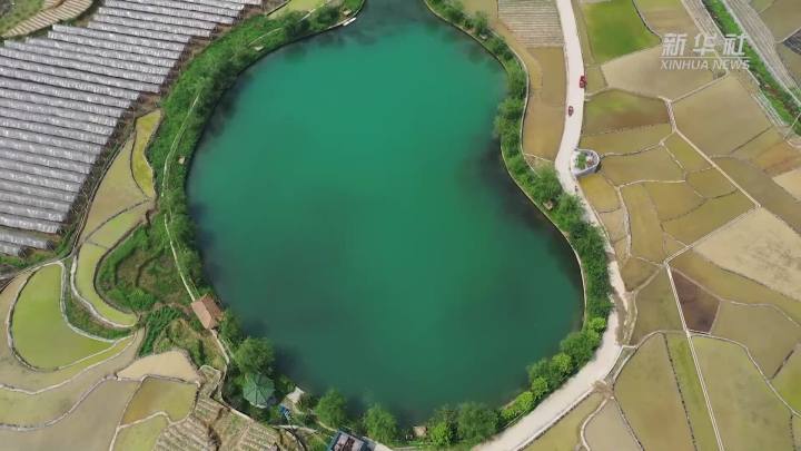 稻田新插，這里的山村美翻了！