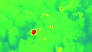 云南野生象群的奇幻之旅：紅外監(jiān)測(cè)&mdash;&mdash;夕陽(yáng)鄉(xiāng)大雨 象群抱團(tuán)取暖