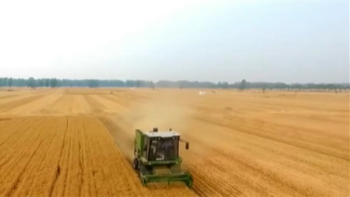 今天是第31個全國&ldquo;土地日&rdquo;：堅持最嚴格耕地保護制度 端穩&ldquo;飯碗田&rdquo;