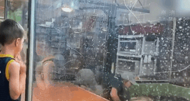 表演時(shí)被咬 美飼養(yǎng)員&ldquo;鱷口逃生&rdquo;