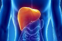 【健康解碼】轉氨酶輕度升高要不要緊？