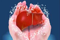 【健康解碼】轉氨酶正常肝臟就一定正常嗎？