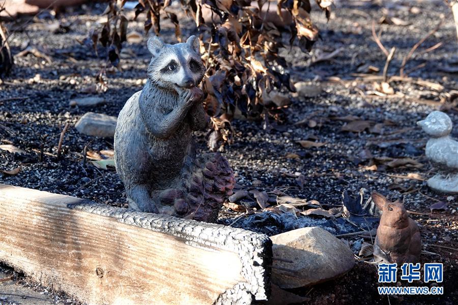 (國際·圖文互動)(4)一場山火,讓這個冬天格外冷——探訪美國加州山火災(zāi)區(qū)