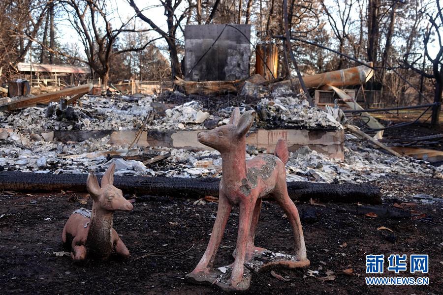 (國際·圖文互動)(6)一場山火,讓這個冬天格外冷——探訪美國加州山火災(zāi)區(qū)