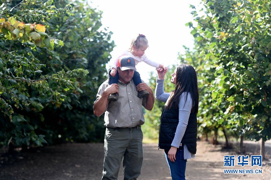 (國際·圖文互動)(2)“這些樹寄托著我們對中國市場的信心”——探訪美俄勒岡州榛子果農(nóng)