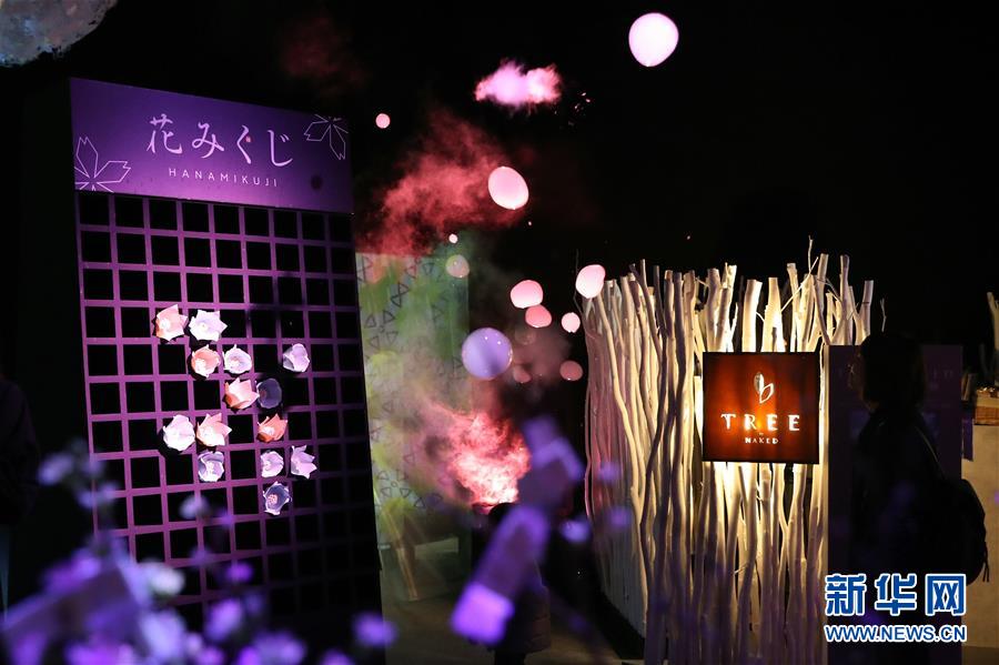 （國際）（2）日本東京：寒冬時(shí)節(jié)賞&ldquo;繁花&rdquo; 