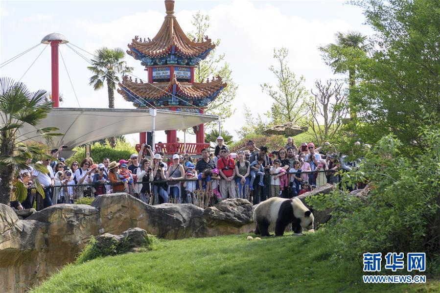 (習近平出訪配合稿·圖文互動)(2)綜述:互利共贏 敢為人先——中法關系行穩(wěn)致遠