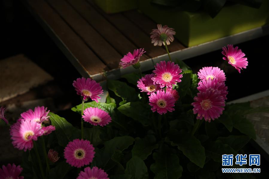 （國際&middot;北京世園會）（19）世界園林巡禮&mdash;&mdash;比利時拜加登城堡