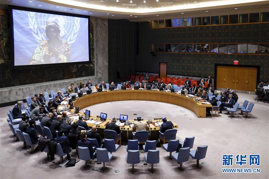 (國際·圖文互動)(2)中國代表就聯合國維和警察工作提出三點建議