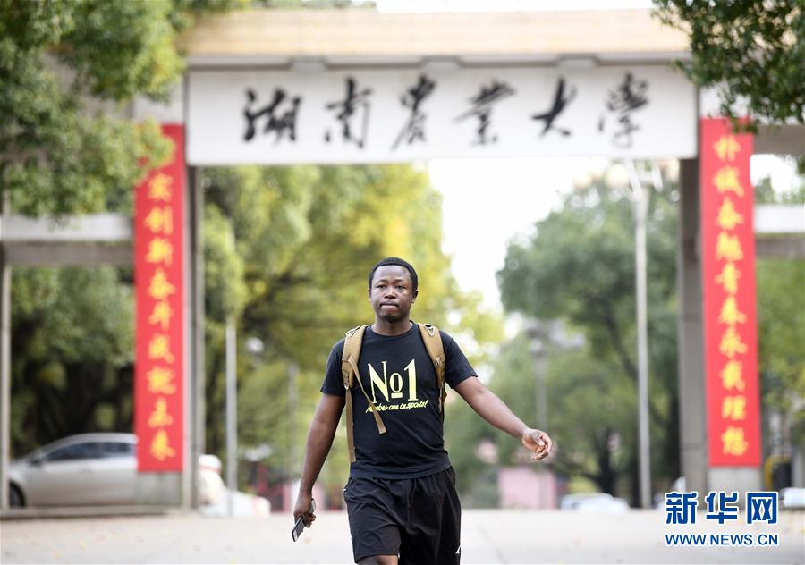 (在習近平新時代中國特色社會主義思想指引下——新時代新作為新篇章·總書記關切開放事·圖文互動)(9)來中國“學種地”的“洋學生”