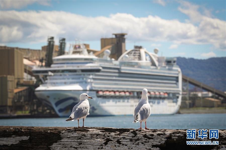 （國際疫情）（2）澳警方對&ldquo;紅寶石公主&rdquo;號郵輪展開刑事調查