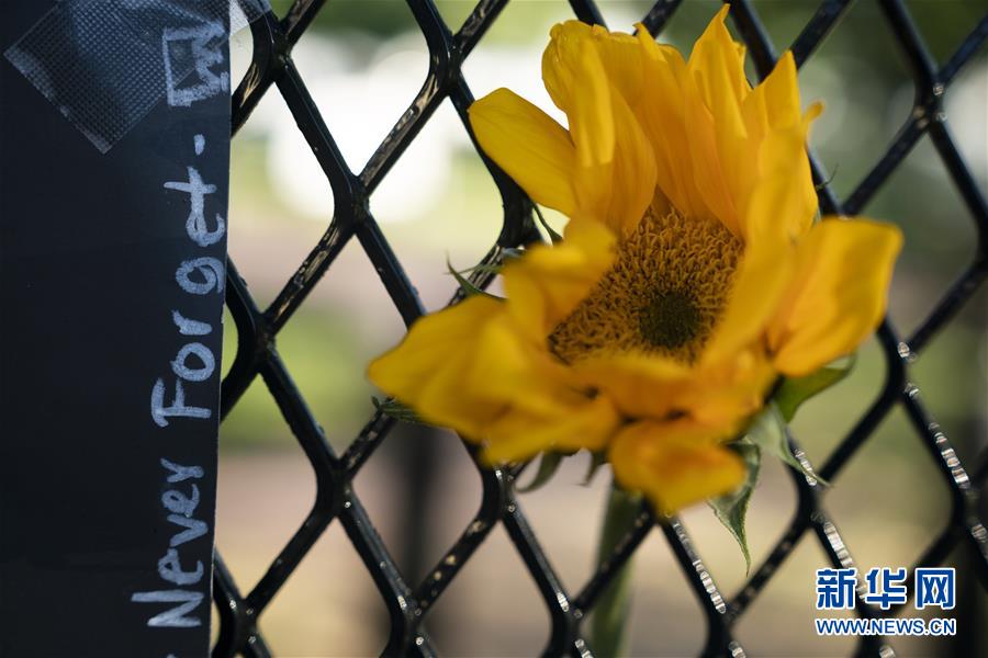 (國際)(8)美國華盛頓:抗議警察暴力執法活動持續
