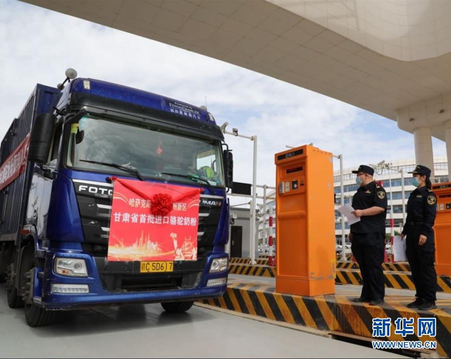 (國際·圖文互動)(7)從“先遣隊”到“正規軍”——哈薩克斯坦駱駝奶粉入華記