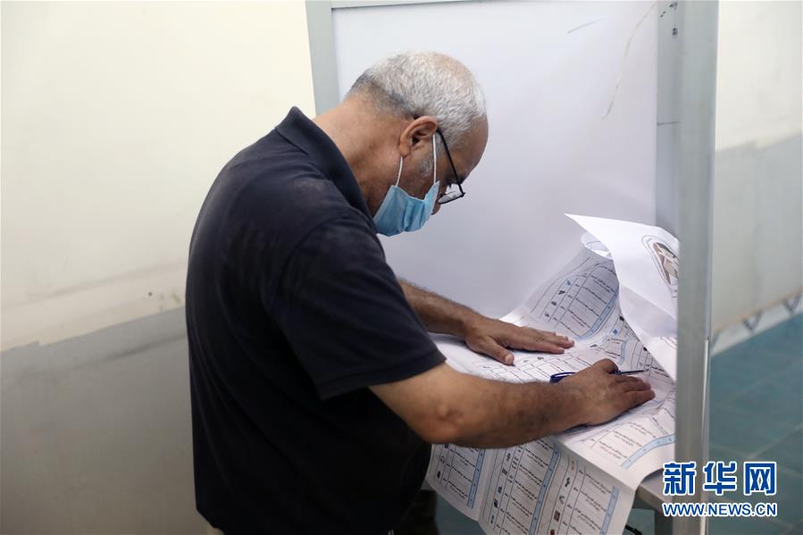 (國際)(6)埃及舉行議會上院選舉